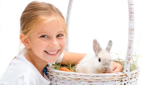 10 Small Pets That Are Great for Kids