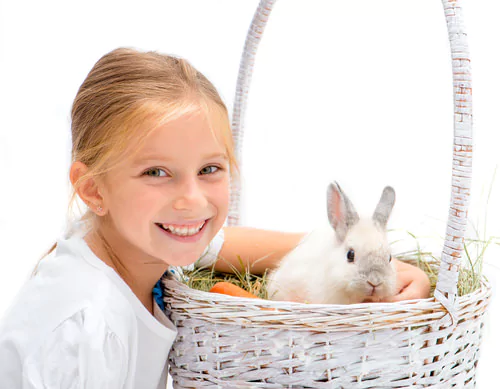 10 Small Pets That Are Great for Kids