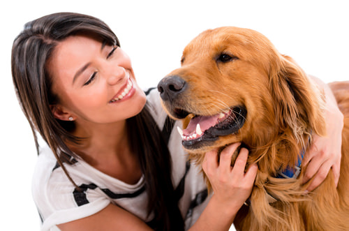 Pets improve your mood