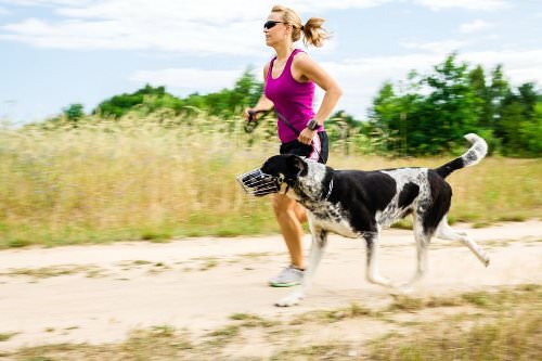 Pets provide opportunities to get more exercise