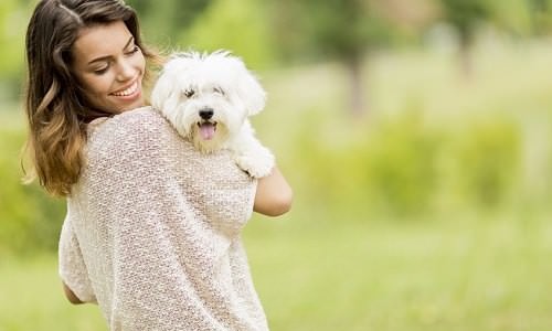 7 Things Pets Teach You about a Happier Life