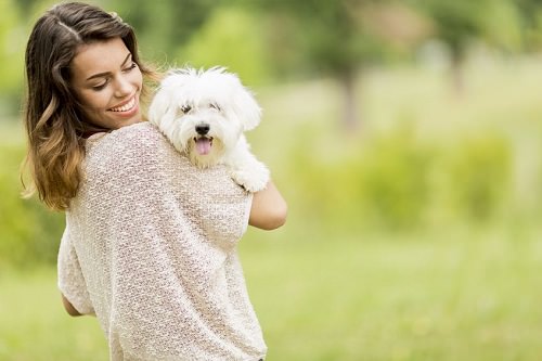 7 Things Pets Teach You about a Happier, Healthier Life