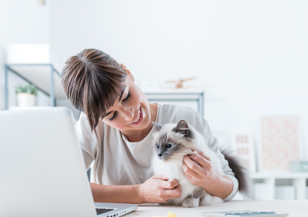 Undeniable Reasons to Bring Your Pet into the Office