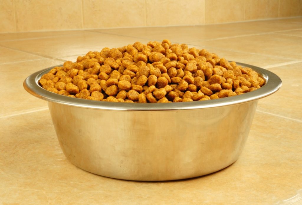 Check The Ingredients List 10 Things To Consider When Choosing Dog Food